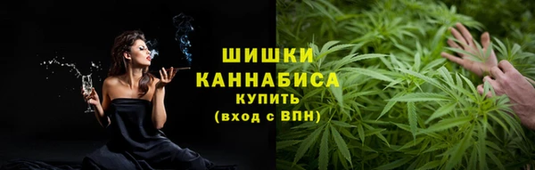 крисы Касимов
