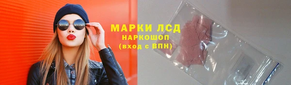 крисы Касимов