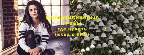 крисы Касимов